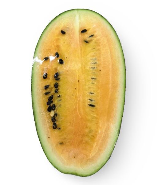 Yellow Water Melon (Pakwan Dilaw)