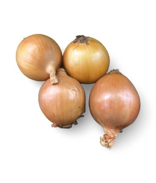White Onion