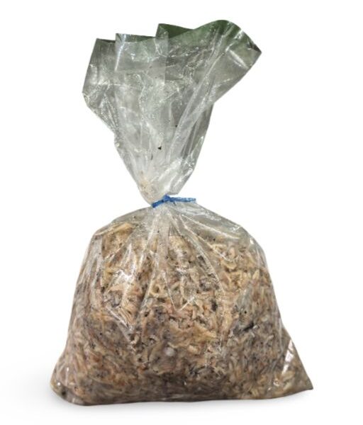 Pure Bagoong Alamang 500g