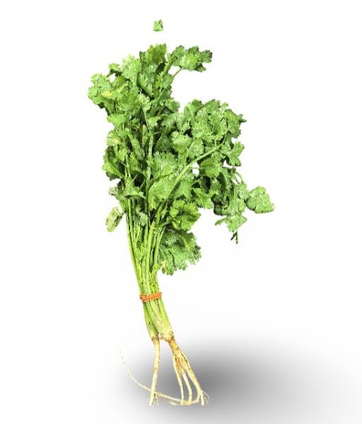 Kinchay (Chinese Celery)