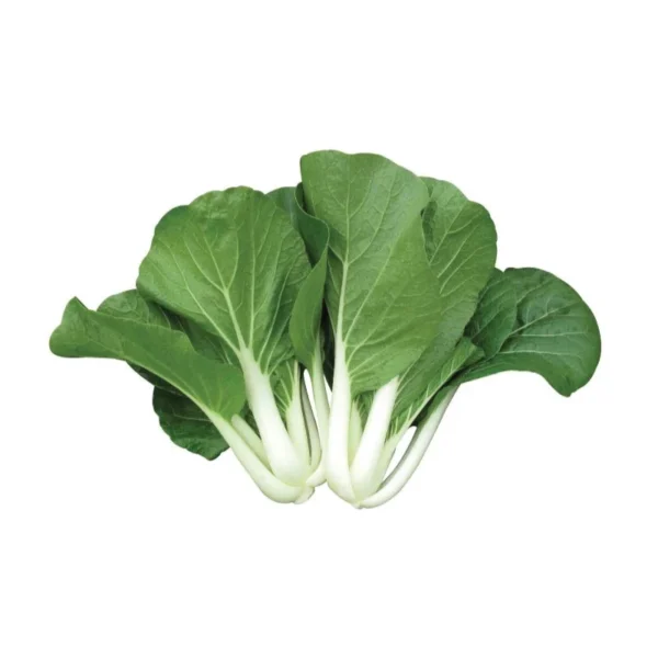 Native Mustard Cabbage (Petsay Tagalog)