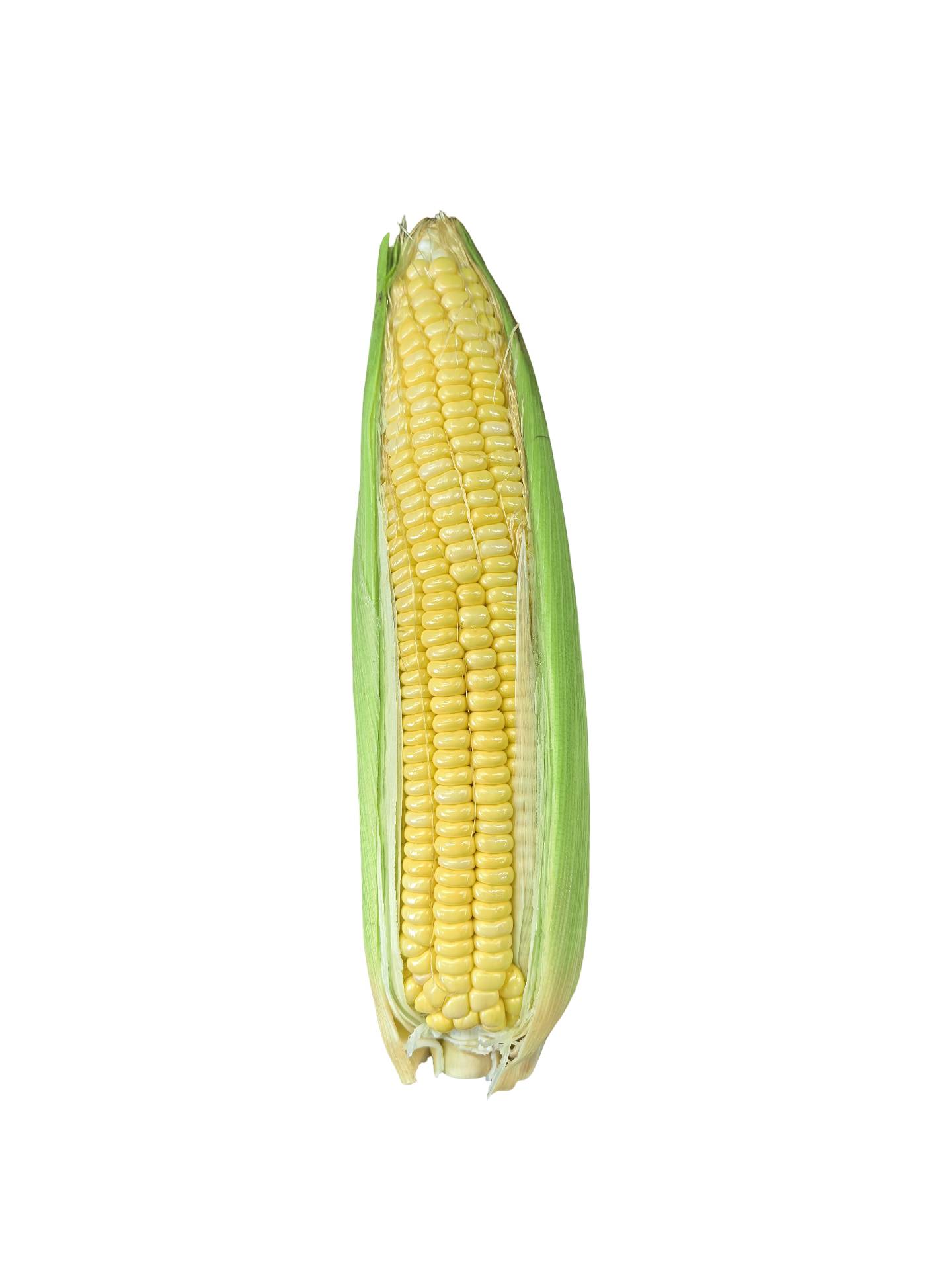a815b40e-975a-4c41-940c-39ba943b62d4_1761521167957 Sweet Yellow Corn - Image 1