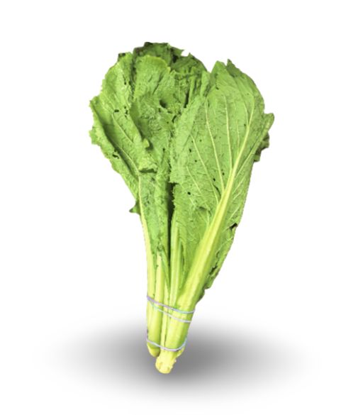 ac666552-e312-4ae0-abc4-012b7912a666_1761792178870 Mustasa (Mustard Greens) - Image 1