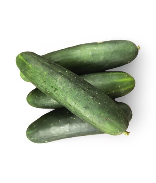 Green Pipino (Green Cucumber)