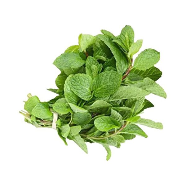 Mint Leaves